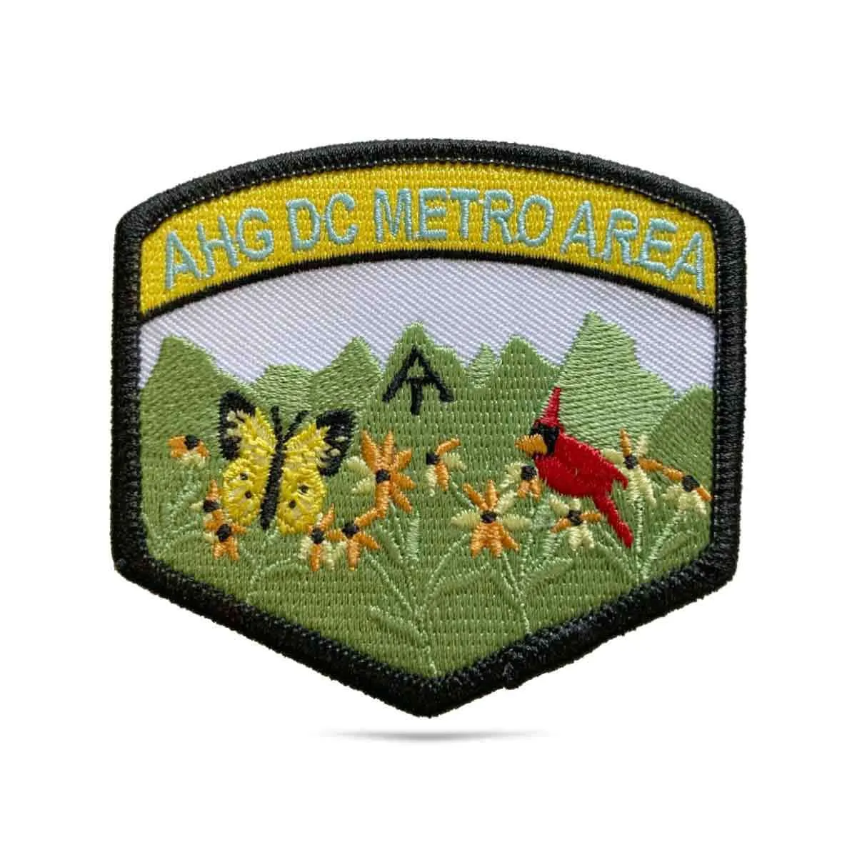 AHG - D.C. Metro Area Team Patch