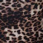 Animal Print Long Sleeve Sheer Mesh Top