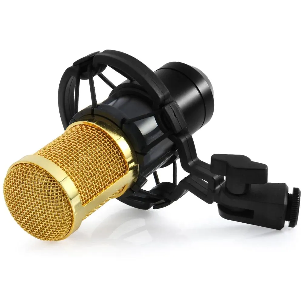 BM-800 Condenser Sound Recording Microphone with Shock Mount for Radio Braodcasting