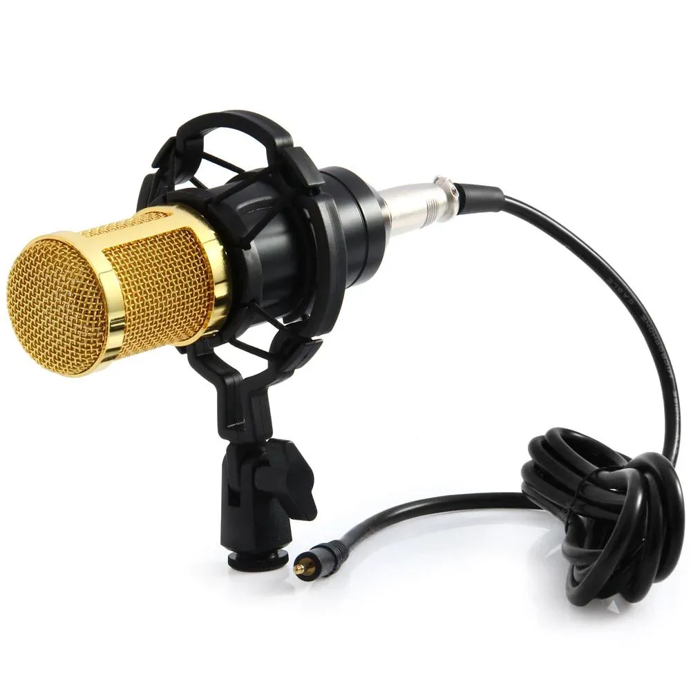 BM-800 Condenser Sound Recording Microphone with Shock Mount for Radio Braodcasting