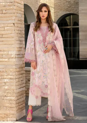 Carnation Summer Lawn Collection '24 by Rang Rasiya | AMELIA